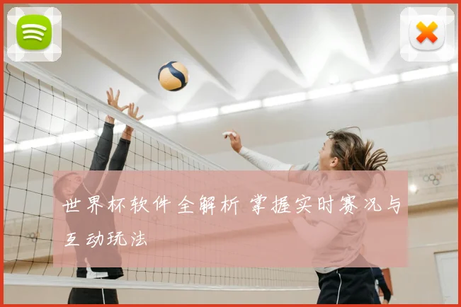世界杯软件全解析 掌握实时赛况与互动玩法