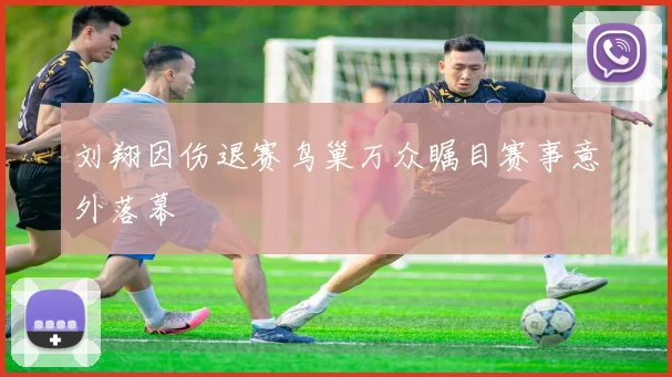 刘翔因伤退赛鸟巢万众瞩目赛事意外落幕